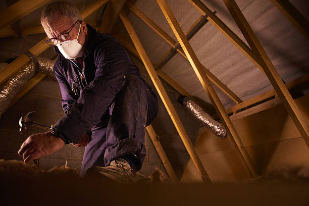 Professional Insulation Contractor in Smiths Station, AL